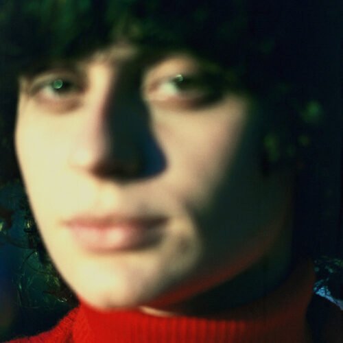 LP Ana Frango Elétrico - Little Electric Chicken Heart
