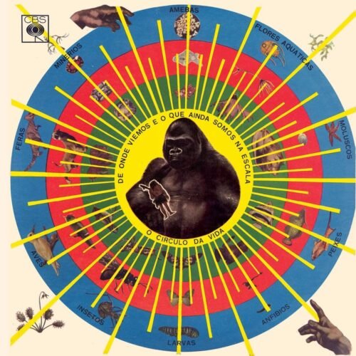 LP Pedro Santos - Krishnanda