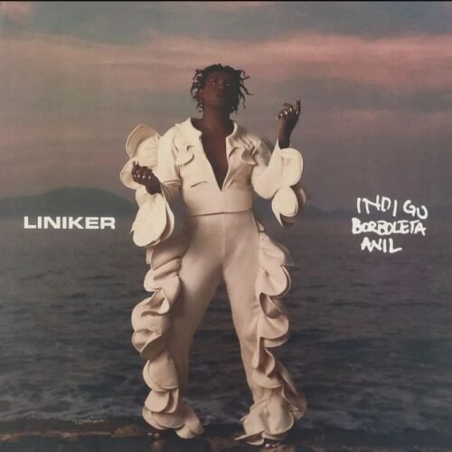 LP Liniker - Indigo Borboleta Anil