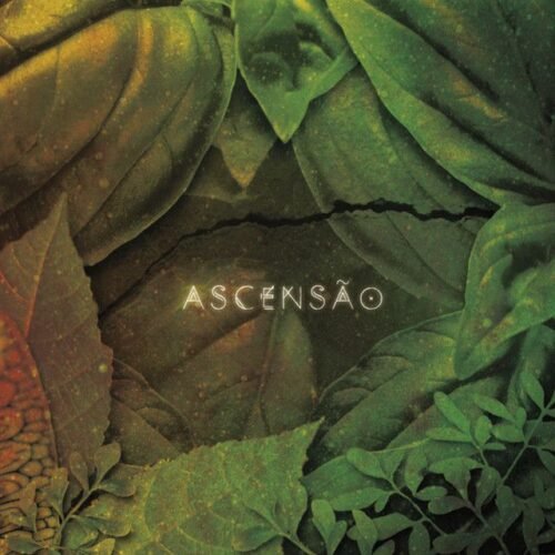 LP Serena Assumpção - Ascensão